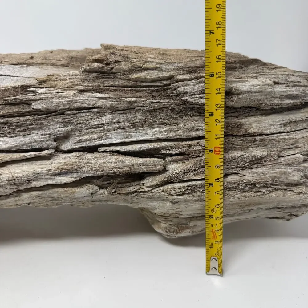 Large White Weathered Driftwood Log Sculpture – Natural Coastal Decor Statement